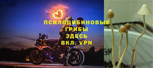 дмт Алексин