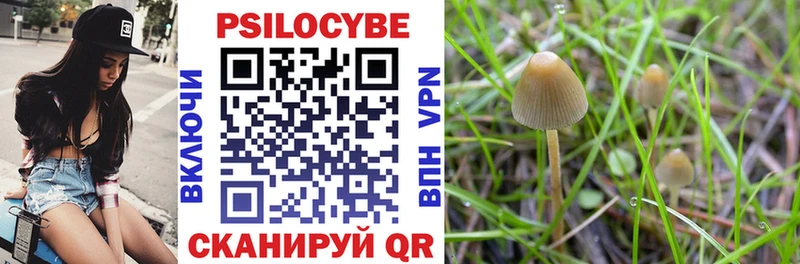 Псилоцибиновые грибы прущие грибы  наркотики  Чебоксары 