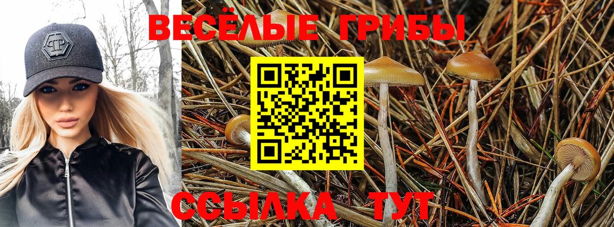 закладка  Вход с VPN  Чебоксары  Галлюциногенные грибы ЛСД 
